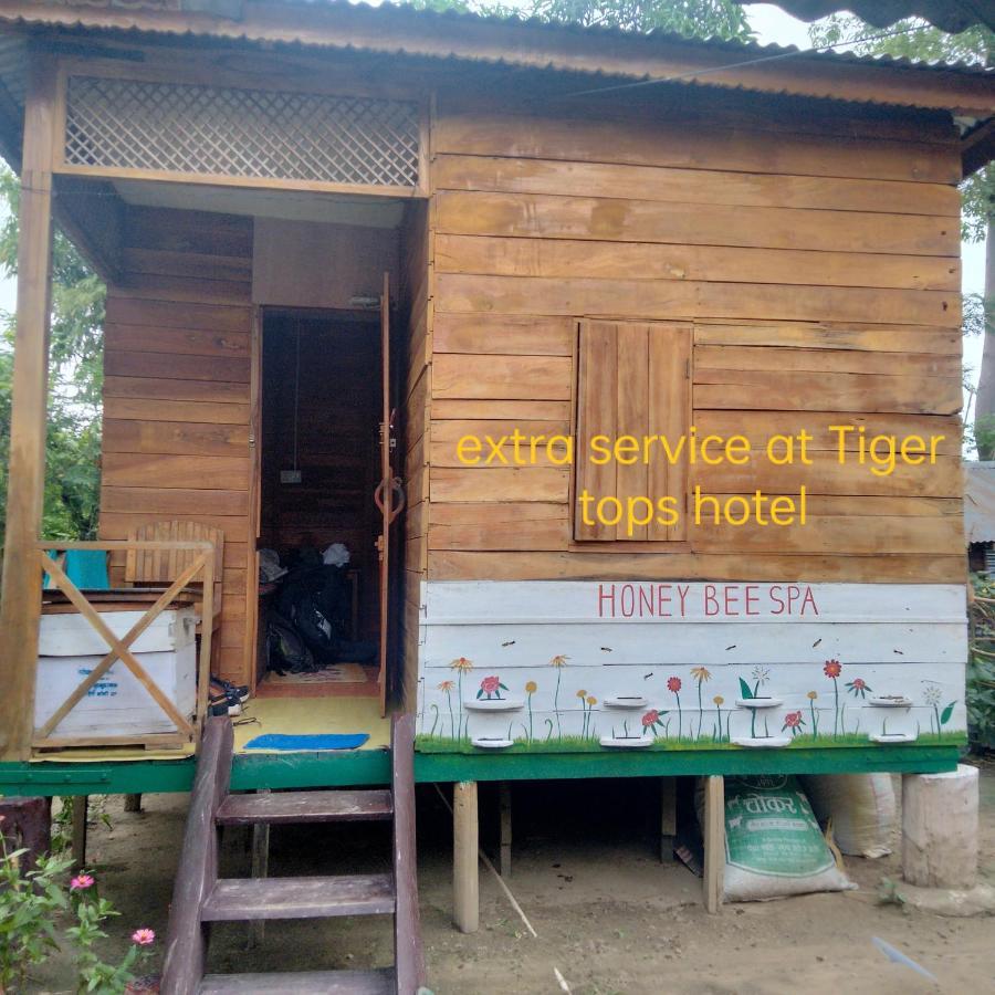 Hotel Tiger Tops Саураха Экстерьер фото